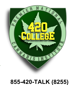 Open a Legal Medical Marijuana Collective