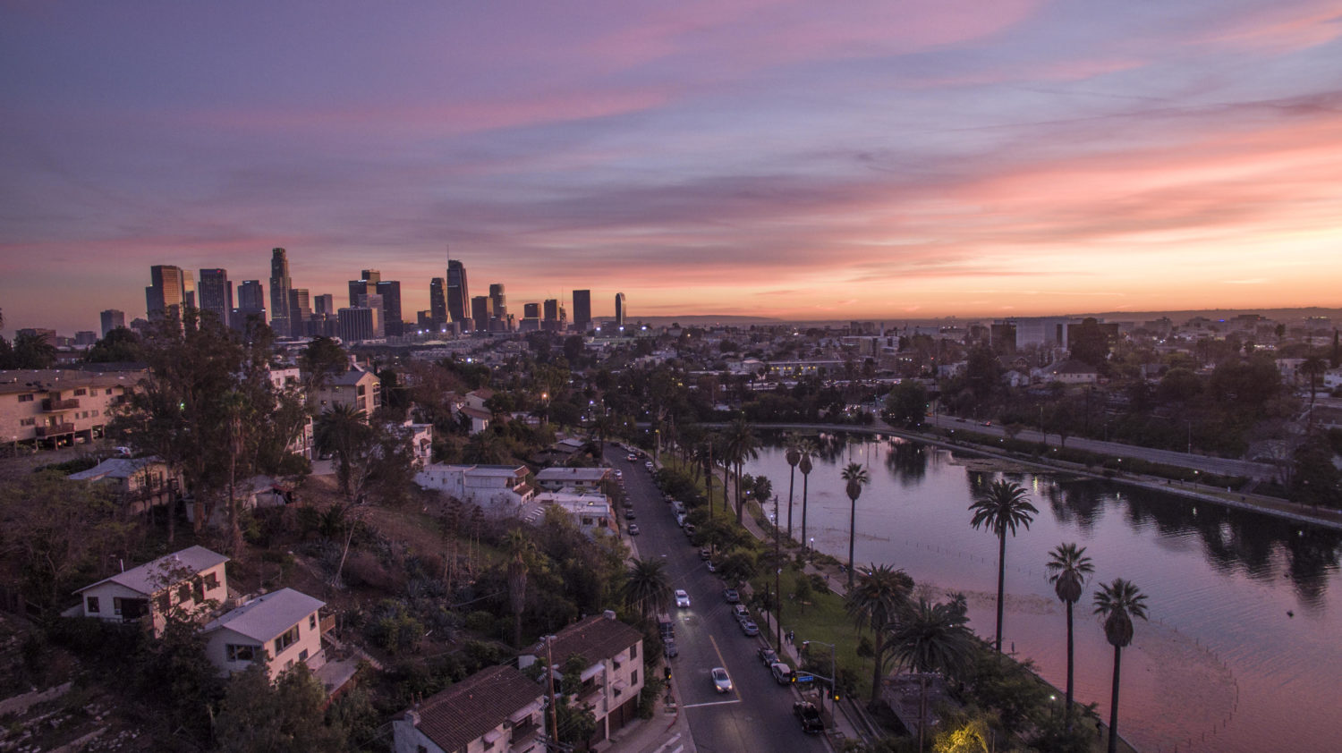 Los Angeles dispensary business