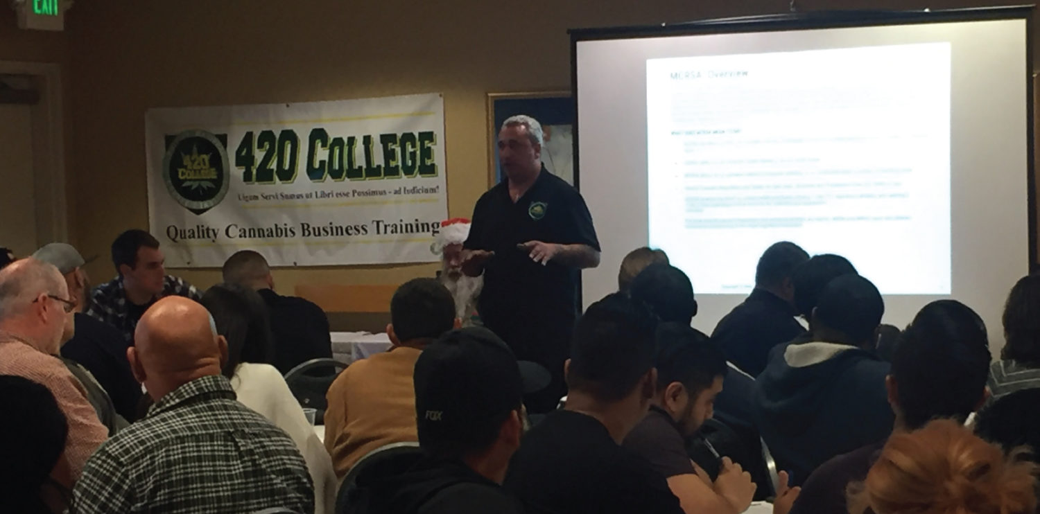 cannabis business accounting