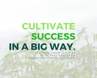 cannetic group cannabis consultant
