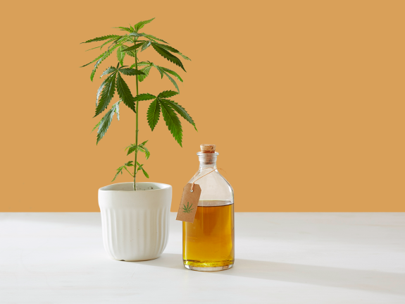 Is CBD Still Legal After FDA Chief Resignation
