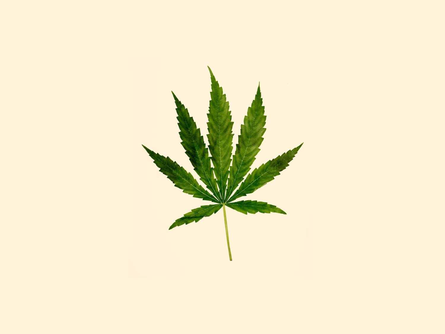 Taxes and Cannabis Sales
