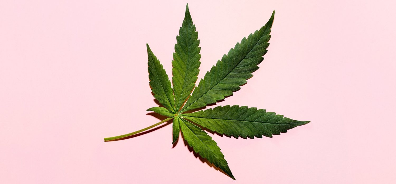 The Cannabis Business - Find Your Niche