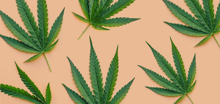 Thousands of Legal Cannabis Businesses At Risk