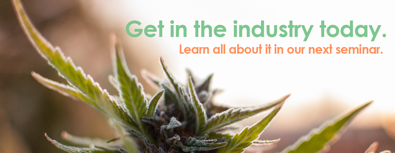 Dispensary Permits